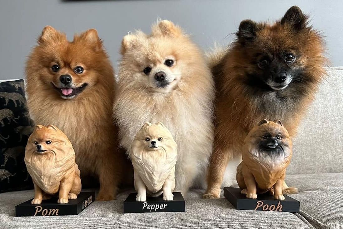 3D geprinte hondenfiguren van Pomeranians met naamplaatjes, perfect als persoonlijk cadeau